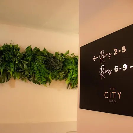 The City Hotel-3